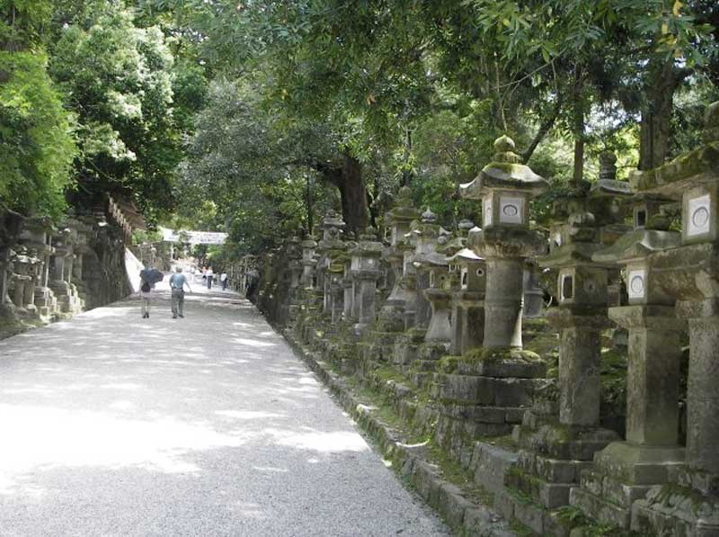 many stone lanterns lining a long path