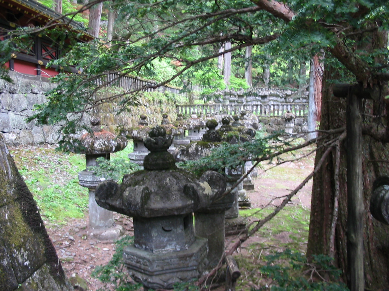 many stone lanterns surrounded by trees