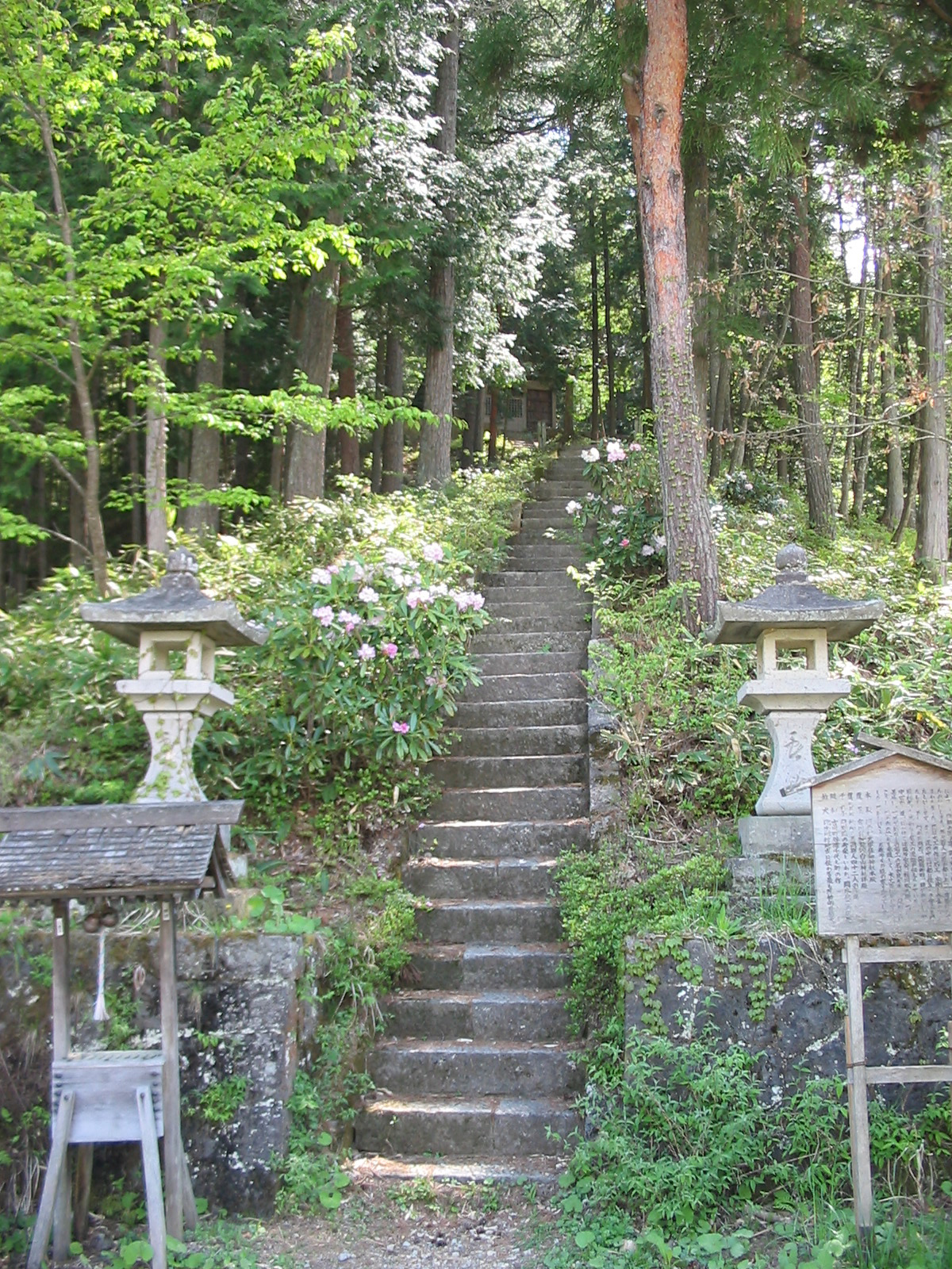 steep narrow steps in a cemetery