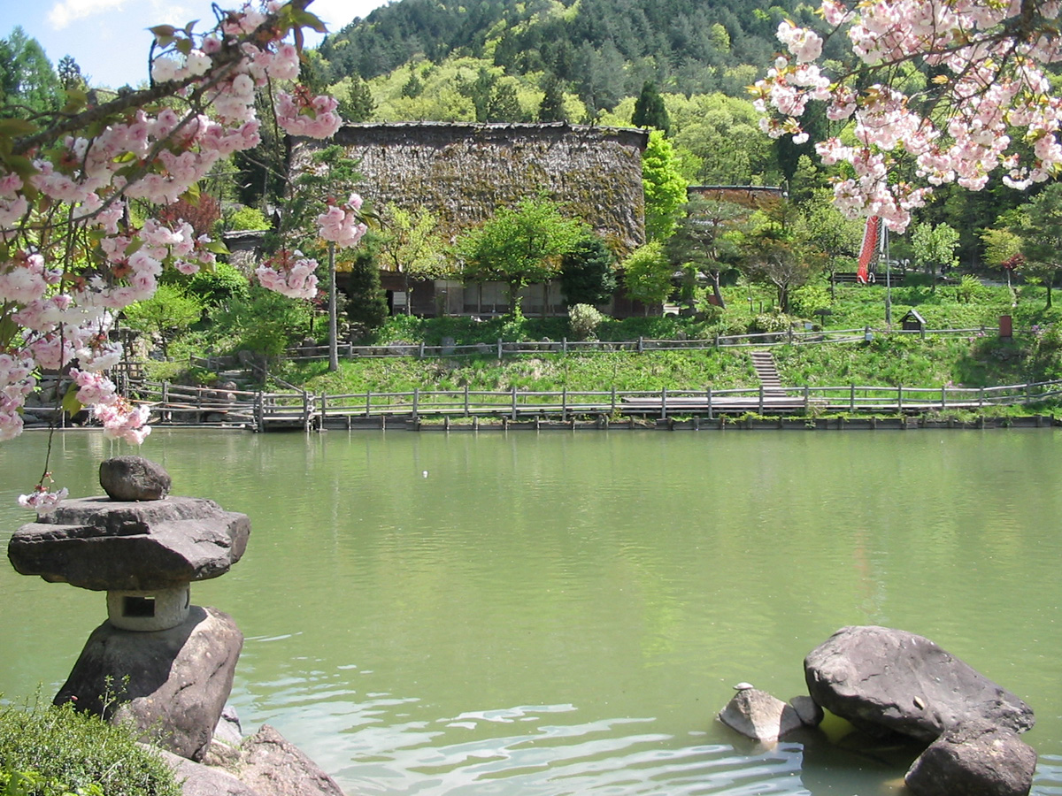 old buildings in a village with cherry blossoms